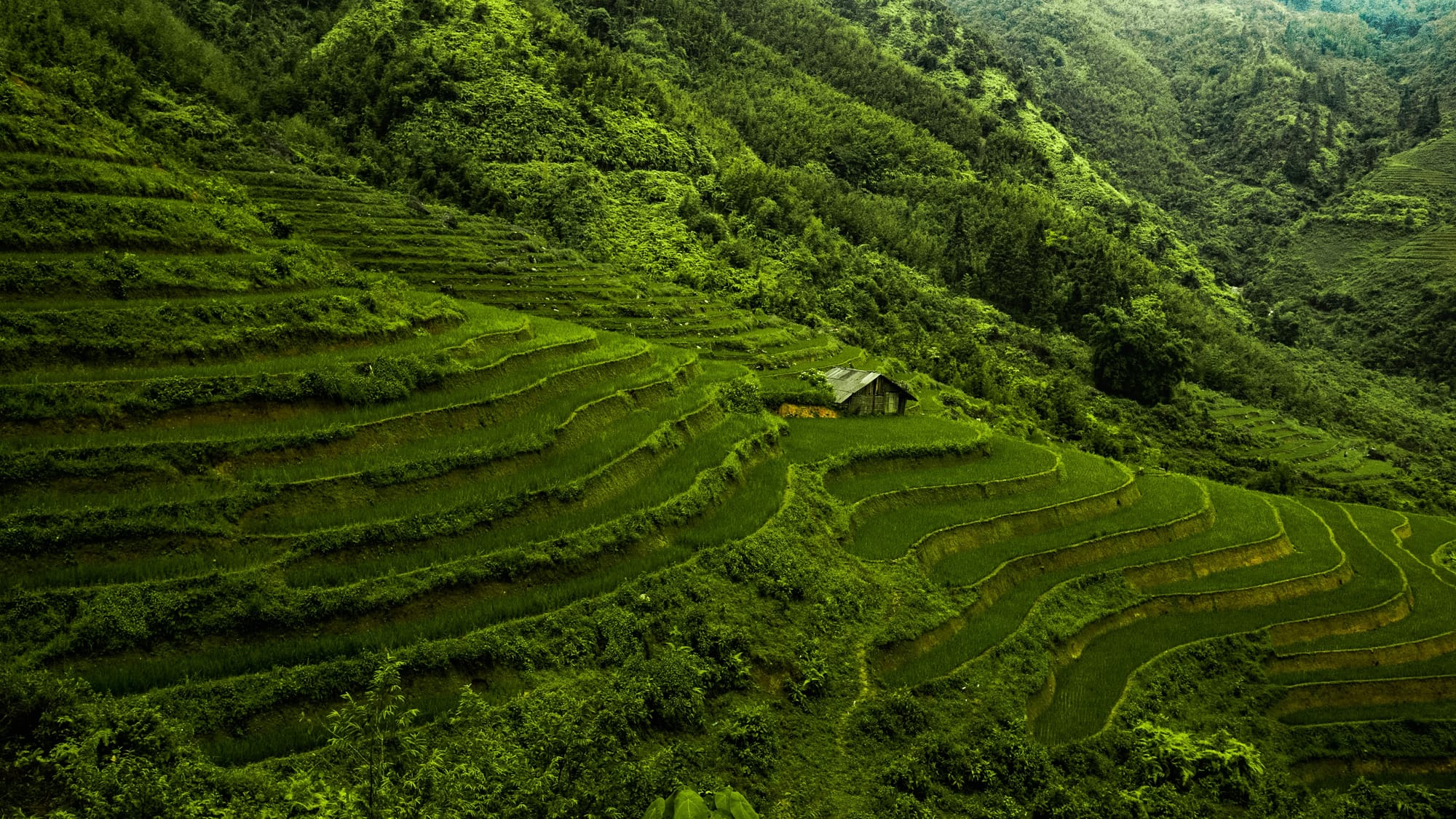 Site Inspection Visits to Manufacturing Facilities in Vietnam: Business Visa Documentation Requirements