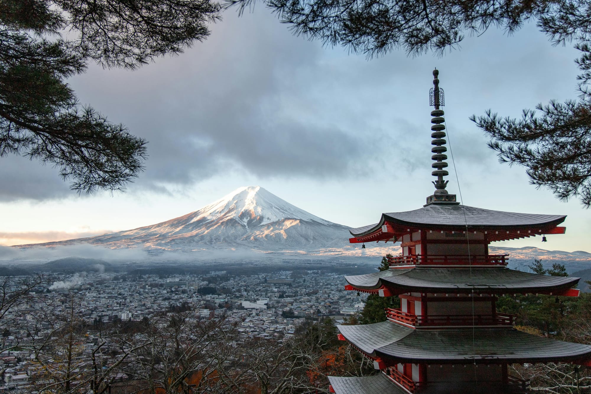 Conducting Market Research in Japan: Specialized Short-Term Business Visa Guidelines for Corporate Teams